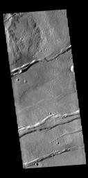 The linear features in this image from NASA's 2001 Mars Odyssey spacecraft are graben (fault bounded depressions). The graben are part of Sirenum Fossae.