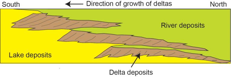 This diagram depicts a vertical cross section through geological layers deposited by rivers, deltas and lakes. Deposits from a series of successive deltas build out increasingly high in elevation as they migrate toward the center of the basin.