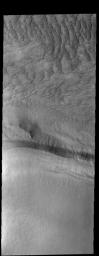This image from NASA's 2001 Mars Odyssey spacecraft contains the margin of the south polar cap (bottom half) and dunes in an unnamed crater (top half). Part of the crater is covered by ice, which may affect the winds creating these dunes.