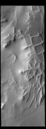 The intersecting ridges in this image captured by NASA's 2001 Mars Odyssey spacecraft are called Angustus Labyrinthus. They were formed due to tectonic activity.