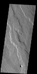 This image captured by NASA's 2001 Mars Odyssey spacecraft shows part of the extensive flow field called Daedalia Planum. The lava flows originated at Arsia Mons.