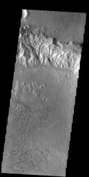 This image captured by NASA's 2001 Mars Odyssey spacecraft shows a region of small isolated dunes on the floor of an unnamed crater in Terra Cimmeria.