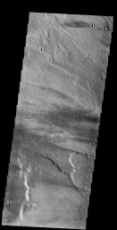This image captured by NASA's 2001 Mars Odyssey spacecraft shows windstreaks on the lava flows of Daedalia Planum. The 'tail' behind the crater indicates winds blew from east to west.