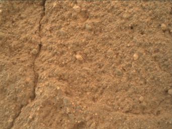This view of a sandstone target called 'Big Arm' covers an area about 1.3 inches (33 millimeters) wide in detail that shows differing shapes and colors of sand grains in the stone.