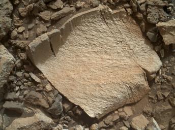 A rock fragment dubbed 'Lamoose' is shown in this picture taken by NASA's Curiosity rover. Like other nearby rocks in a portion of the 'Marias Pass' area of Mt. Sharp, Mars, it has unusually high concentrations of silica.