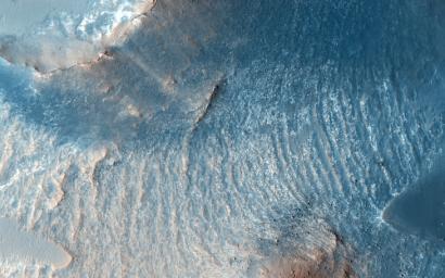 A variety of diverse morphological features are present in this image located in the southeastern area of the Nili Fossae region and just northeast of Syrtis Major as seen by NASA's Mars Reconnaissance Orbiter spacecraft.