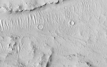 Kasei Valles is a valley system was likely carved by some combination of flowing water and lava. In some areas, erosion formed cliffs along the flow path resulting in water or lava falls as seen by NASA's Mars Reconnaissance Orbiter spacecraft.