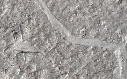 This image from NASA's Mars Reconnaissance Orbiter spacecraft shows numerous branching ridges with various degrees of sinuosity. These branching forms resemble tributaries funneling and draining into larger channel trunks towards the upper portion.