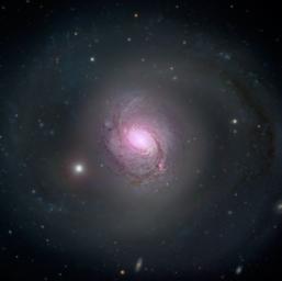 Galaxy NGC 1068 is shown in visible light and X-rays in this composite image. High-energy X-rays (magenta) captured by NASA's NuSTAR, are overlaid on visible-light images from both NASA's Hubble Space Telescope and the Sloan Digital Sky Survey.