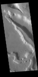 This image captured by NASA's 2001 Mars Odyssey spacecraft shows a number of unnamed channels located on the northeastern margin of Terra Sabaea.