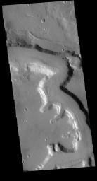 This image from NASA's 2001 Mars Odyssey spacecraft shows a portion of Mamers Valles. Mamers Valles is a large and complex channel system on the northern margin of Arabia Terra.