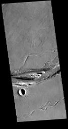This image from NASA's 2001 Mars Odyssey spacecraft shows a portion of Olympica Fossae. In this image several lava channels are visible, and it appears that lava has flowed in the larger depressions.
