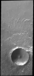 This image from NASA's 2001 Mars Odyssey spacecraft shows Lonar Crater. This is a fairly pristine crater, with a steep slope on the interior of the rim and little to no deposition of material on the floor.