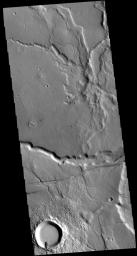 This image from NASA's 2001 Mars Odyssey spacecraft is located on the margin of Tempe Terra near Chryse Planitia. Several channels are visible as well as tectonic features.