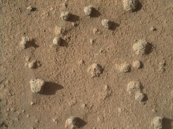 This view from NASA's Curiosity shows nodules exposed in sandstone that is part of the Stimson geological unit on Mount Sharp, Mars. The nodules can be seen to consist of grains of sand cemented together.