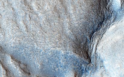 This image from NASA's Mars Reconnaissance Orbiter spacecraft shows a water-carved channel. The channel pattern, called dendritic because of its tree, like branching running down over the rim of an ancient impact basin across the basin floor.
