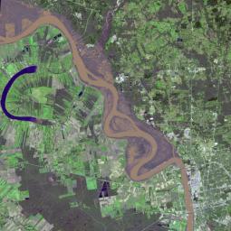 This image acquired on Jan. 17, 2016 by NASA's Terra spacecraft shows major flooding along the Mississippi River, affecting Missouri, Illinois, Arkansas and Tennessee; flood warnings were issued for the area around Baton Rouge, Louisiana.