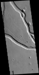 The channels in this image captured by NASA's 2001 Mars Odyssey spacecraft are part of Hebrus Valles.