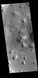 This image captured by NASA's 2001 Mars Odyssey spacecraft shows part of the floor of an unnamed crater on the northern edge of Terra Sabaea.