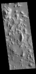 The hills in this image from NASA's 2001 Mars Odyssey spacecraft are part of Nepenthes Mensae, which is located along the margin of Terra Cimmeria.