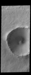 This image captured by NASA's 2001 Mars Odyssey spacecraft shows a sand sheet with surface dune forms located on the floor of an unnamed crater in Vastitas Borealis.