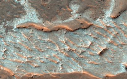 Scientists think these polygonal fractures seen by NASA's Mars Reconnaissance Orbiter spacecraft contain chlorides, like sodium chloride or table salt, or maybe chloride of calcium or magnesium.