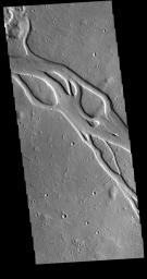 This image captured by NASA's 2001 Mars Odyssey spacecraft shows a portion of Hebrus Valles.