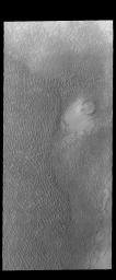 Multiple dune fields surround the north polar cap. This image from NASA's 2001 Mars Odyssey spacecraft shows an unnamed region of dunes located between Olympia Undae and Abalos Undae.
