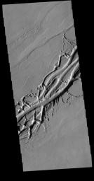 Located on the extensive lava plains between Olympus Mons and Alba Mons, this image from NASA's 2001 Mars Odyssey spacecraft shows complex intersecting valleys, which were created by lava flow.