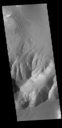 This image captured by NASA's 2001 Mars Odyssey spacecraft shows part of the southern margin of Juventae Chasma.