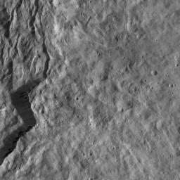This view from NASA's Dawn spacecraft features the rugged rim of Occator Crater at left. A number of thin fractures are visible, roughly parallel to the rim.
