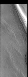 This image captured by NASA's 2001 Mars Odyssey spacecraft shows part of a depression (or trough) on the polar cap.