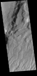 This image captured by NASA's 2001 Mars Odyssey spacecraft shows several channels dissecting the higher elevations of Claritas Fossae.