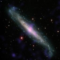 NGC 1448, a galaxy with an active galactic nucleus hidden by gas and dust, is seen in this image combining data from the Carnegie-Irvine Galaxy Survey in the optical range and NASA's NuSTAR in the X-ray range.