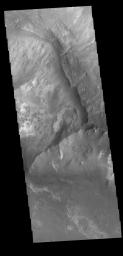 This image captured by NASA's 2001 Mars Odyssey spacecraft shows part of the canyon wall of Melas Chasma.