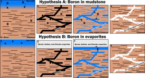 This graphic portrays two hypotheses about how the element boron ended up in calcium sulfate veins found within mudstone layers of the Murray formation on Mars' lower Mount Sharp.