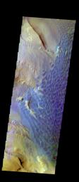 The THEMIS camera contains 5 filters. The data from different filters can be combined in multiple ways to create a false color image. This image from NASA's 2001 Mars Odyssey spacecraft shows part of the sand dune field on the floor of Rabe Crater.