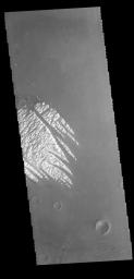 This image captured by NASA's 2001 Mars Odyssey spacecraft shows part of the bright material on the floor of Pollack Crater.