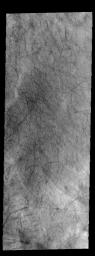 This image captured by NASA's 2001 Mars Odyssey spacecraft shows dust devil tracks on the plains of Aonia Terra.