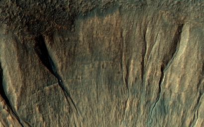 This image captured by NASA's Mars Reconnaissance Orbiter covers a portion of a typical impact crater in Terra Sirenum. Some of the gully fans have a bluish color: these are probably quite recent deposits, less than a few tens of years old.