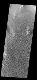 This image captured by NASA's 2001 Mars Odyssey spacecraft shows part of the dune field on the floor of Rabe Crater on Mars.