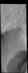 This image captured by NASA's 2001 Mars Odyssey spacecraft shows a sand sheet with surface dune forms on the floor of an unnamed crater in Terra Cimmeria.