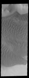 This image captured by NASA's 2001 Mars Odyssey spacecraft shows part of the large sand sheet with surface dune forms on the floor of Charlier Crater in Terra Sirenum.