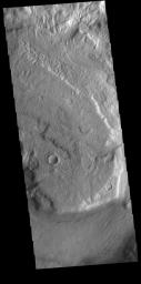 This image captured by NASA's 2001 Mars Odyssey spacecraft shows a short section of Reull Vallis.