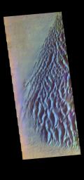 The THEMIS camera contains 5 filters. Data from different filters can be combined in many ways to create a false color image. This image from NASA's 2001 Mars Odyssey spacecraft shows part of the sand sheet with surface dune forms on Proctor Crater.