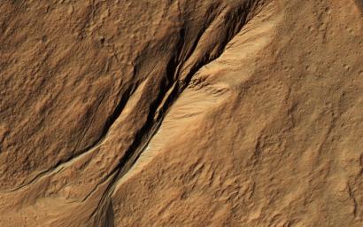 Gullies eroded into the steep inner slope of an impact crater at this location appear perfectly pristine near Gasa Crater, in this image captured by NASA's Mars Reconnaissance Orbiter (MRO).