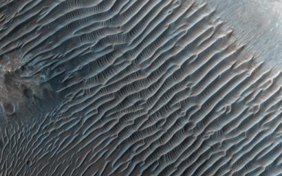 This image from NASA's Mars Reconnaissance Orbiter shows small ripples, about 10 meters apart, located in Her Desher Vallis. Her Desher is a small channel that shows evidence of phyllosilicates.