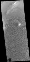 This image captured by NASA's 2001 Mars Odyssey spacecraft show part of the dune field located on the floor of Rabe Crater.