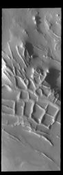 This image captured by NASA's 2001 Mars Odyssey spacecraft shows the region near the south polar cap called Angustus Labyrinthus, which is defined by the linear ridges.