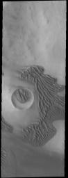 Not all Martian sand dunes are located in craters. This image from NASA's 2001 Mars Odyssey spacecraft shows dunes located on the plains of Terra Sirenum.
